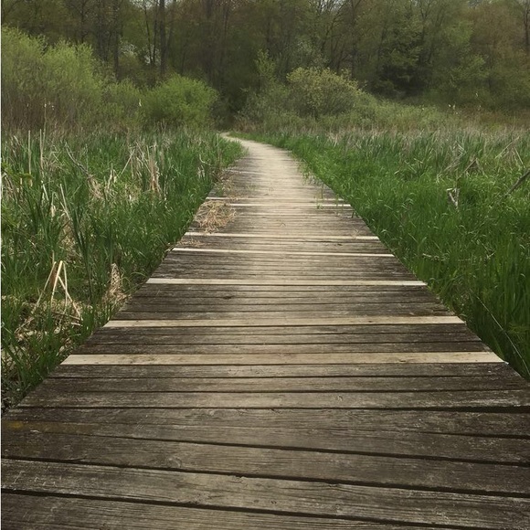 Jcwright610 ~ The wright Fit ~ Like for notifications of posh shows! - Picture 5 of 8